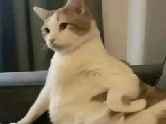 -小川洋风料理(汉街店)