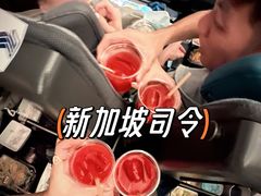 -新加坡航空公司(ION)