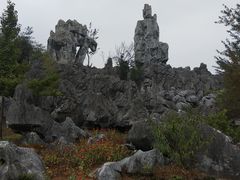 -千岛湖石林