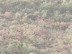 -狼牙山风景区