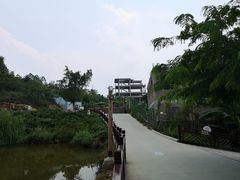 -泉州海丝野生动物世界