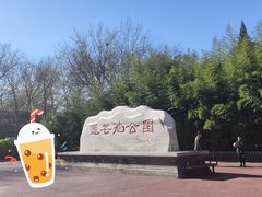 -莲花池公园