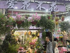 -溪岸路花鸟市场