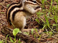 -长春市南湖公园