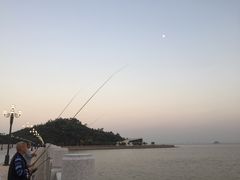 -野狸岛