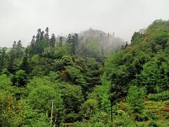 -峨眉山风景名胜区