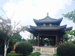 -月湖公园