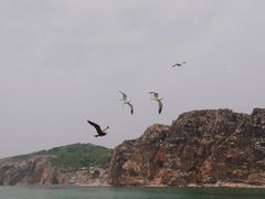 -海驴岛(荣成市)