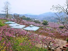 -观清澜疗愈民宿(龙泉山风景区店)