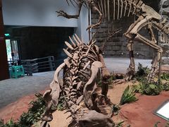 -自贡恐龙博物馆