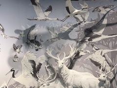 -中国湿地博物馆