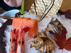 三文鱼刺身-鹤菊怀石料理(江北店)