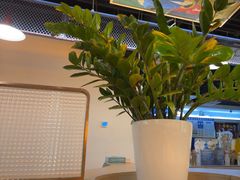 -小田油焖小龙虾(双井店)