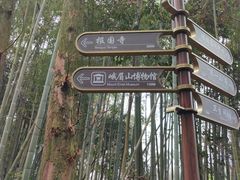 -峨眉山风景名胜区