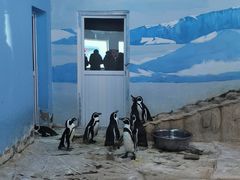 -新疆天山野生动物园