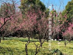 -上海吴淞炮台湾国家湿地公园