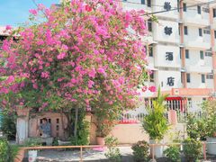 -槟城街头艺术街区