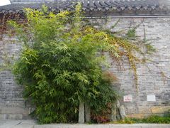 -回龙窝历史文化街区