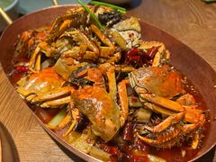 -馋嘴猫北京食堂·烤鸭·宵夜(亚运村店)