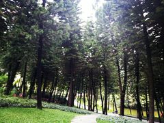 景点-广州珠江公园