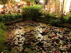 -河内西湖莲花自助餐厅