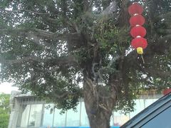 -仑头海鲜城(仑头环村南路店)