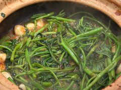 -煲煲好(朝阳门店)