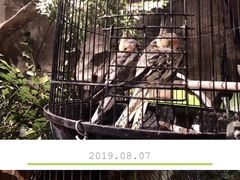 -zoonana室内动物园(东方福来德店)