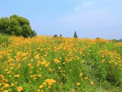 -良渚古城遗址公园