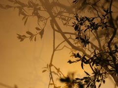 -鹤菊怀石料理(江北店)