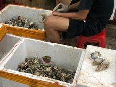 -蚝哥花姐湛江烤生蚝(美丽湾市场店)