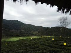 -祁门牯牛降观音堂风景区