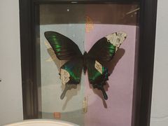-邊城書店