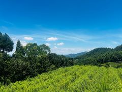 -乌石村