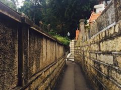 -杨桃院子旅馆(厦门鼓浪屿中华红墨店)