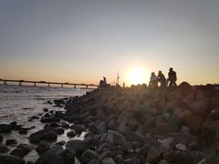 -南汇新城海滩