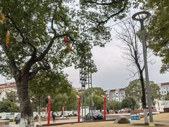 -七宝老街-闵行市民文化广场