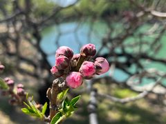 -颐和园