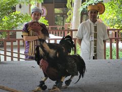 -西双版纳傣族园