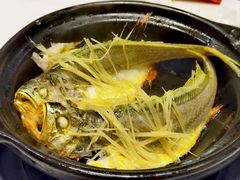 -稻香酒家·35年老字号(侨光店)
