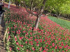 -长春公园(普阳街道)