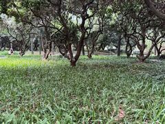 -荔香公园