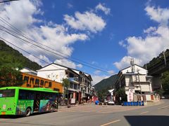 -牛背梁国家森林公园