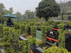 -武汉大学人民医院(首义院区)