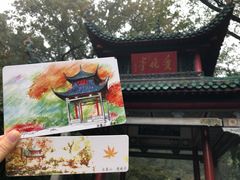 -茶颜悦色(岳麓山顶店)