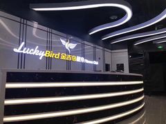 -金吉鸟健身游泳