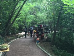 -仙海旅游度假区