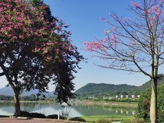 -风云岭森林公园