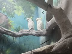 -福州罗源湾海洋世界旅游区