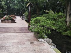 -天赐温泉